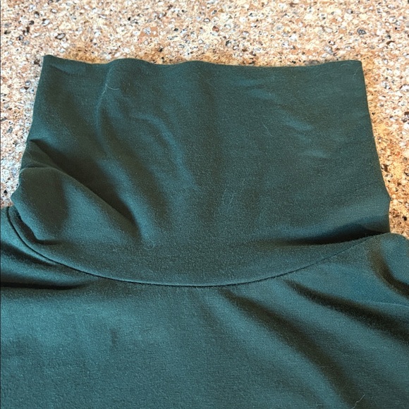 Lands' End Forest Green Shaped Fit Turtleneck - Picture 2 of 5